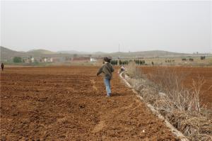 Planting cases