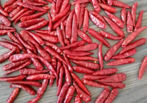 New generation of dried chilli